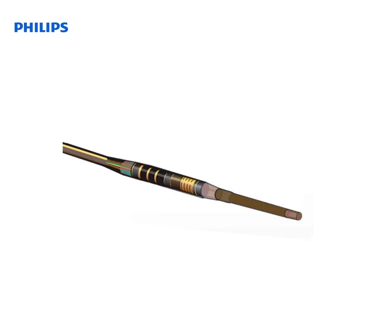 PHILIPS VISIONS: цифровые катетеры для всузи