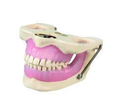 GF Dental E15 — модель челюстей для обучения местной анестезии